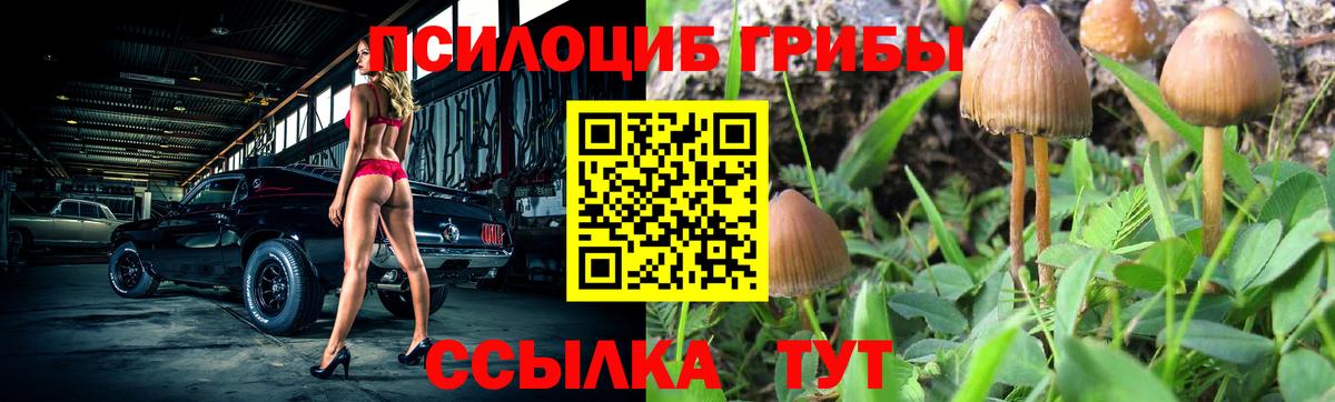 Псилоцибиновые грибы MAGIC MUSHROOMS  Вход с VPN  даркнет сайт  Канск 
