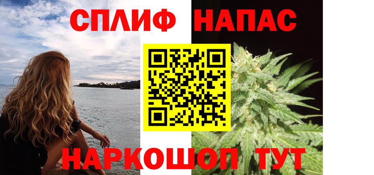 Канабис планчик Канск